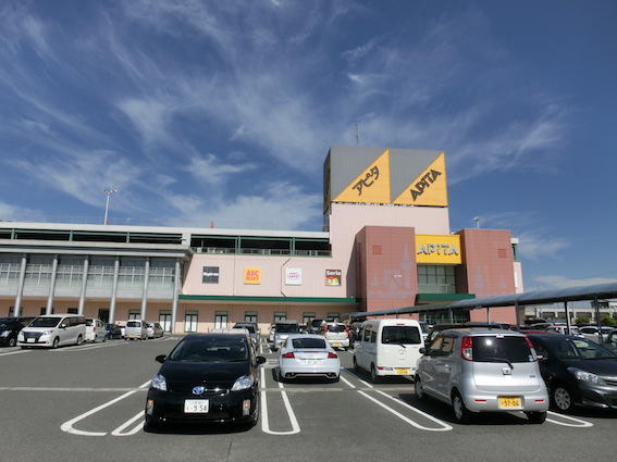 アピタ安城南店