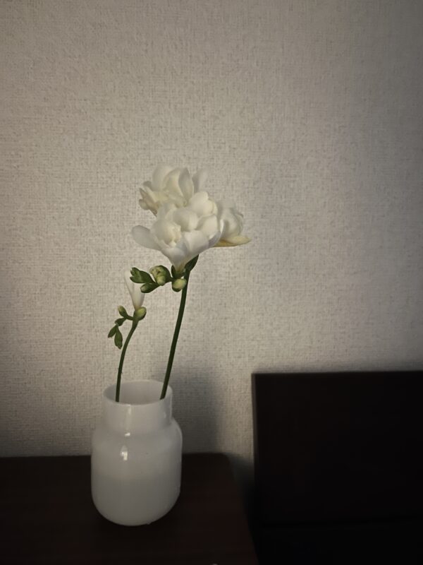お花がだいすき谷田です