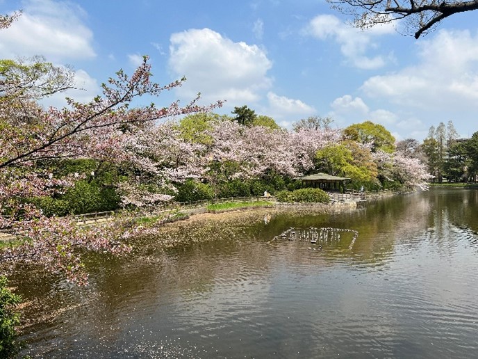 吉兆…ですか？