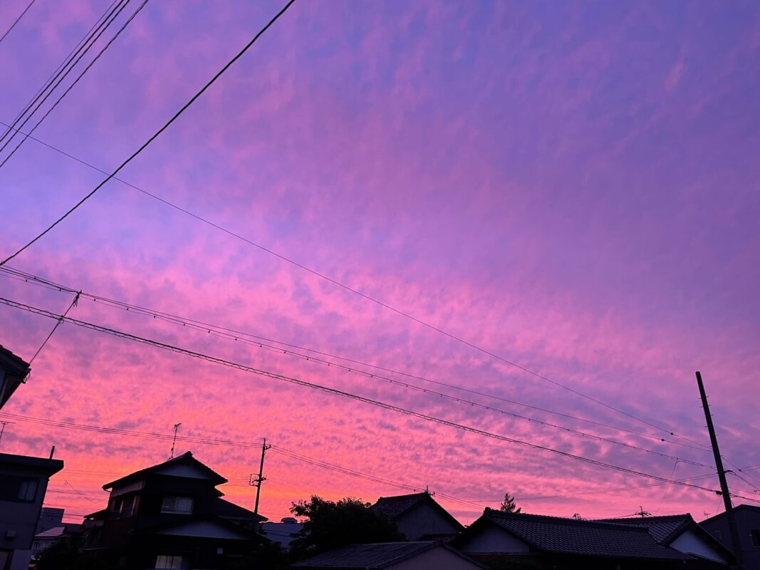 仕事終わりの祝福