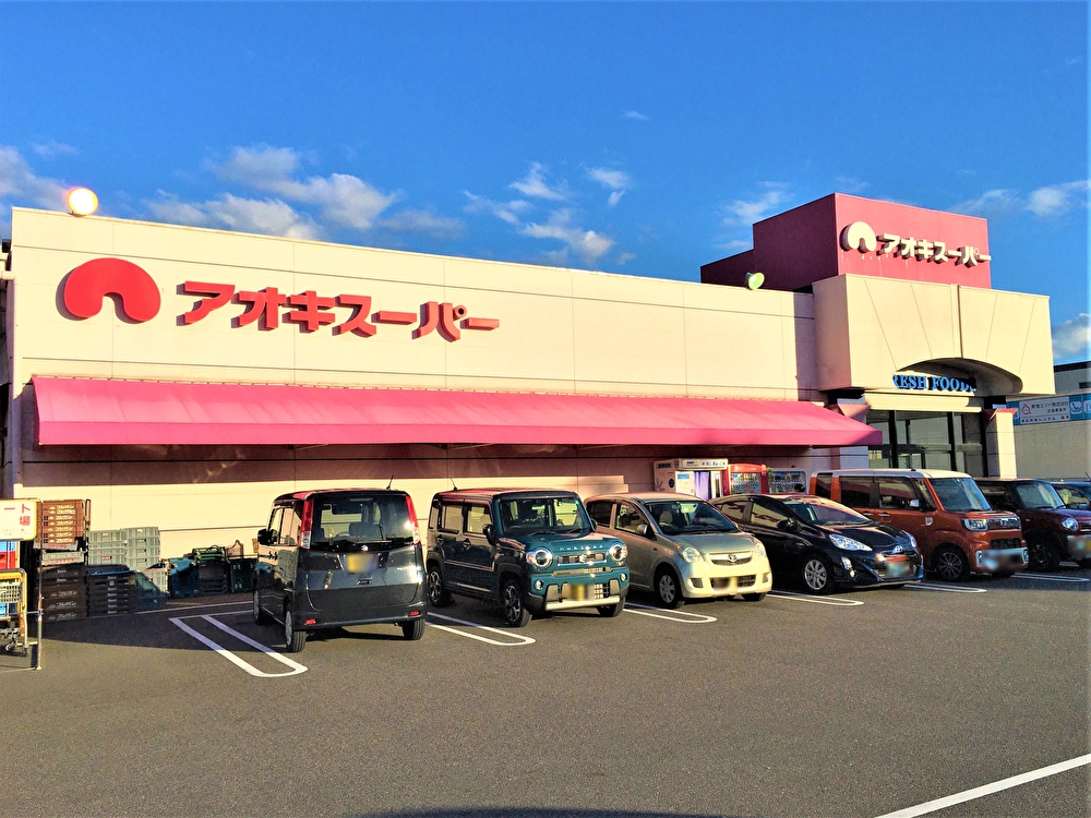 アオキスーパー古井店
