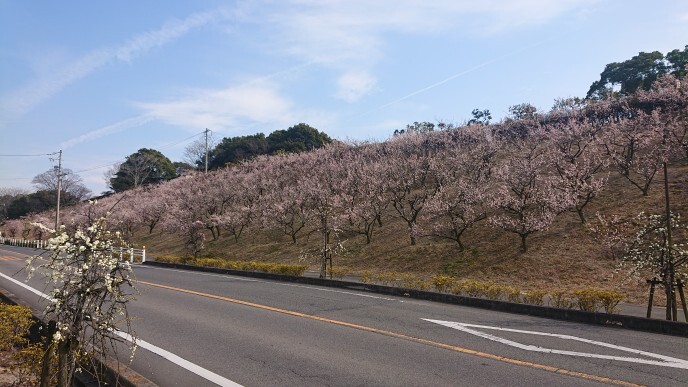 地元の魅力発見
