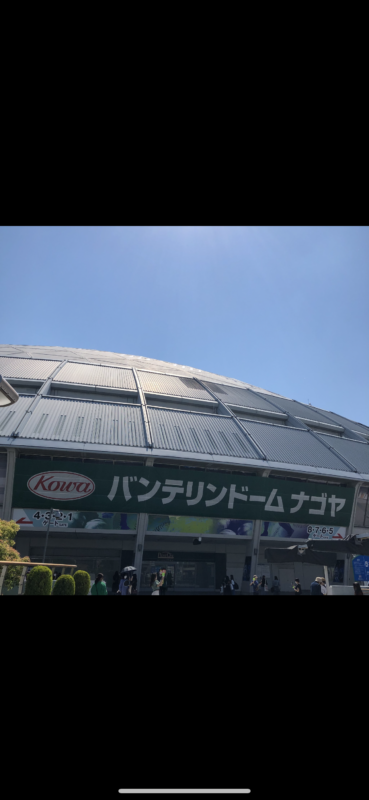野球観戦