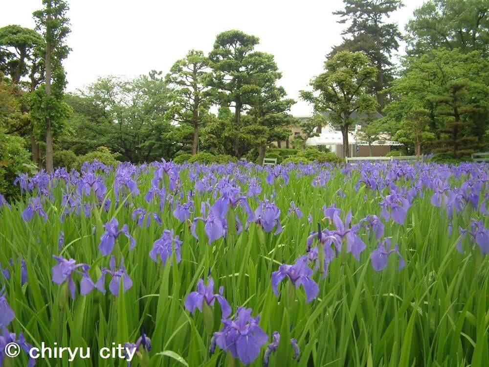知立市はどんな街？再開発が進むエリアや子育て支援についても解説！