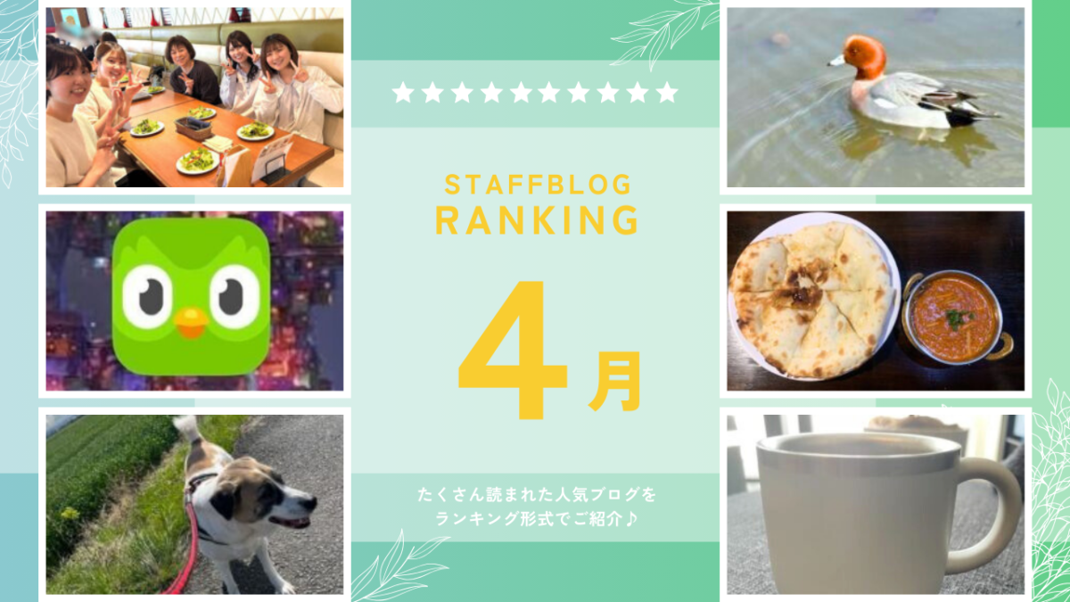 月間スタッフブログランキング！【４月】