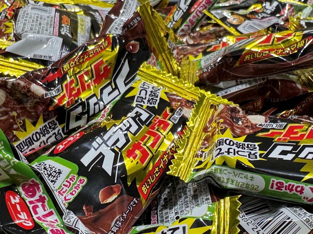 工場見学へ行ってきました