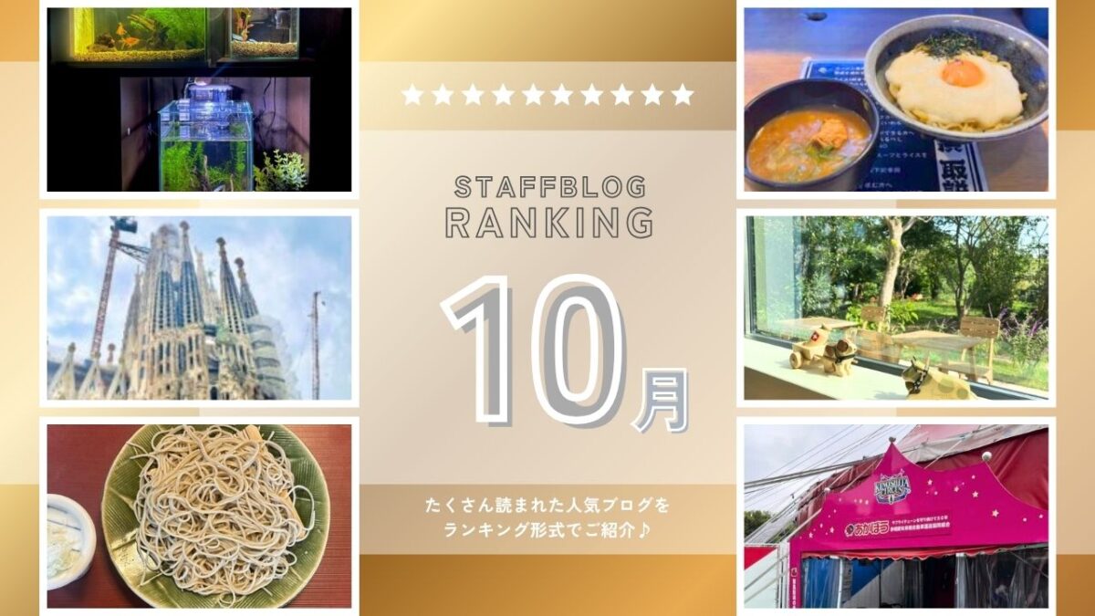 【10月】スタッフブログランキング!