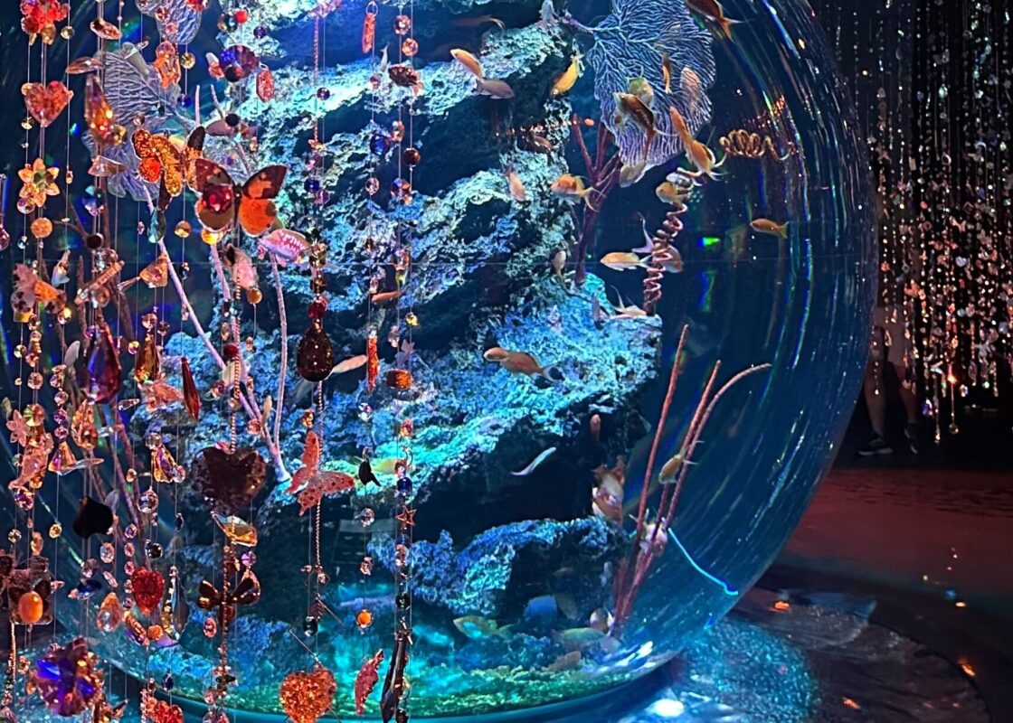 きらめく光と魚たちに癒されて 「水族館×アート」