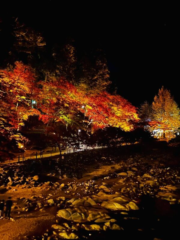 香嵐渓は夜が本番？