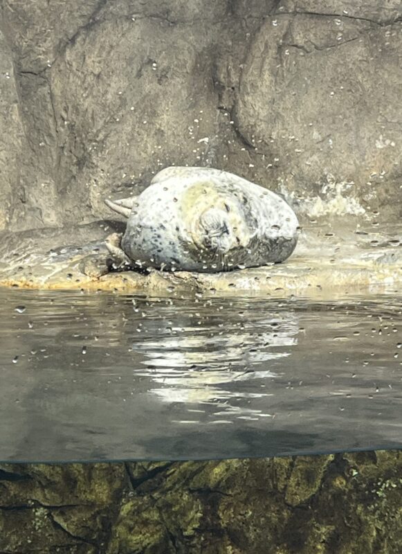 城崎温泉に行ってきました♨