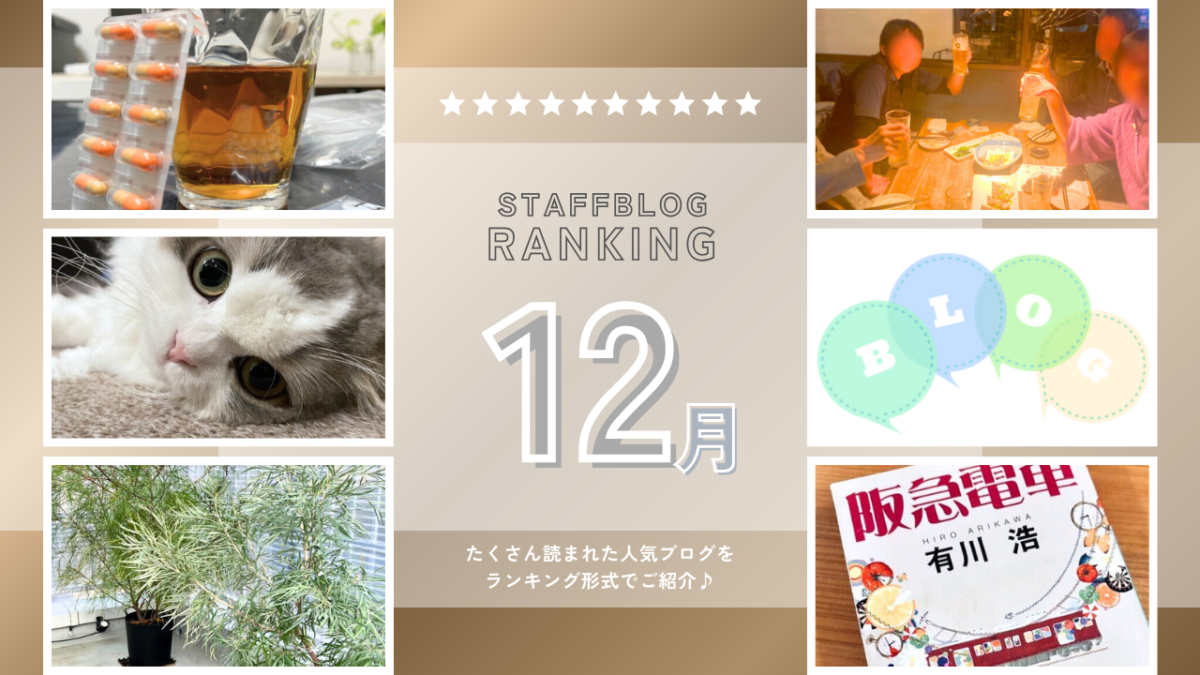 【12月】スタッフブログランキング！