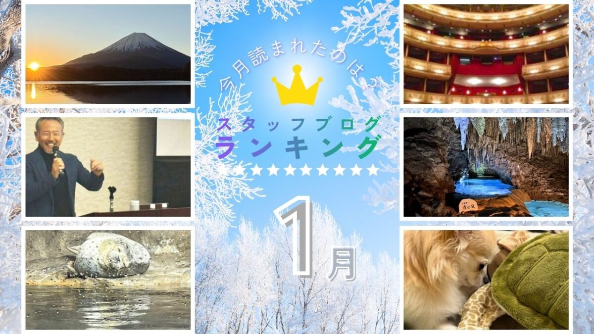 【１月】スタッフブログランキング！