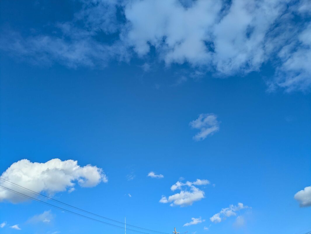 とりあえず、、、