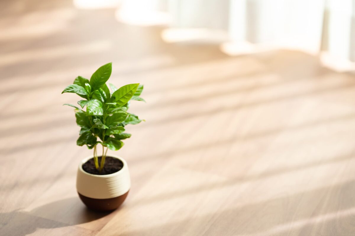 日当たりがいい住宅にするための方法とは?パッシブデザインの魅力も紹介!