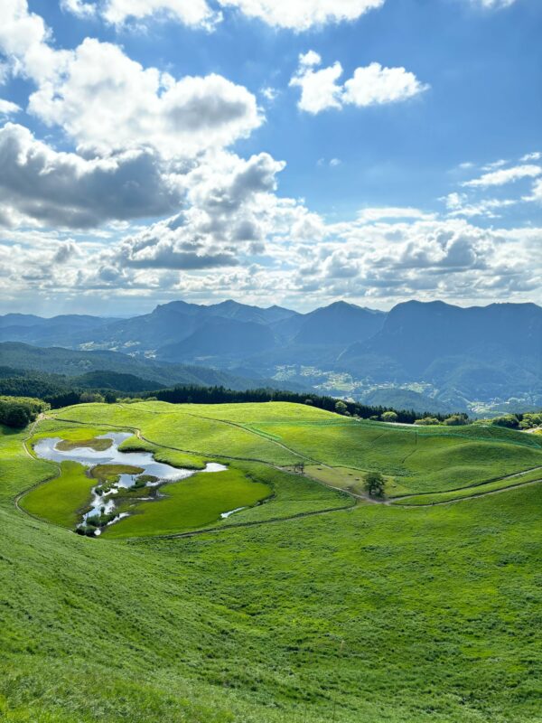 秋じゃない曽爾高原もアリだった