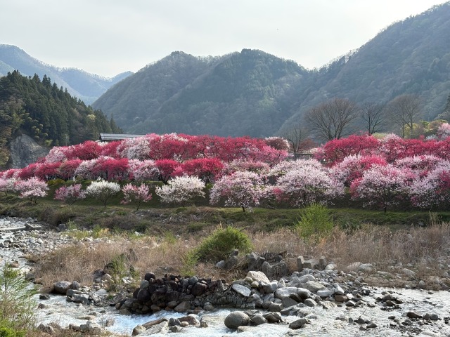 長野方面に行ってきました。