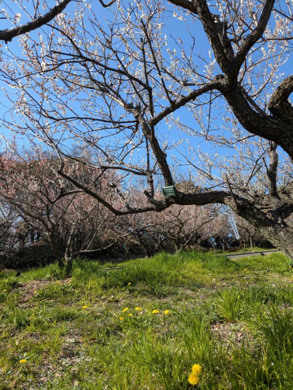 1番きれいに撮れたのは、、、