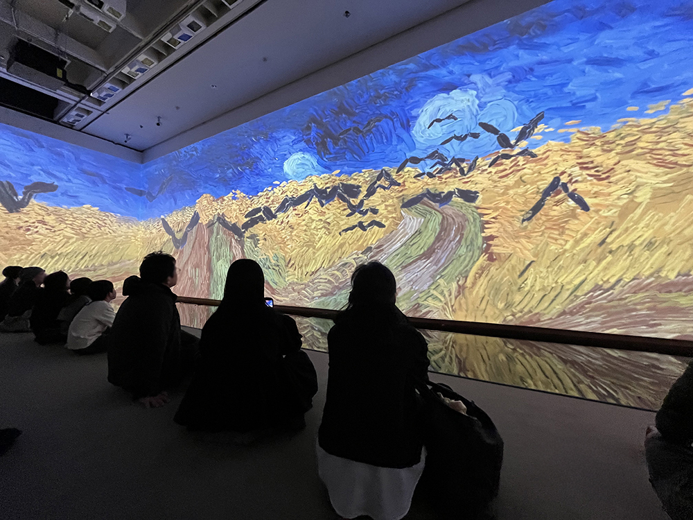 展示の様子