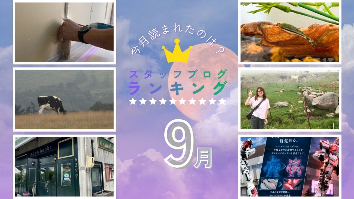 【9月】スタッフブログランキング!